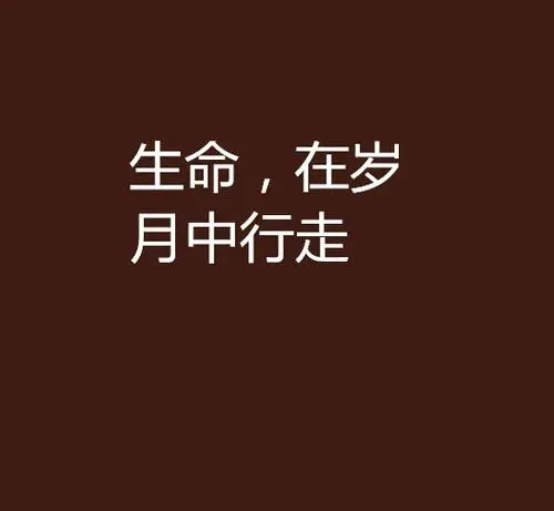 卓友讯分享：谋略与生存之道！-卓友讯-网站首页平台